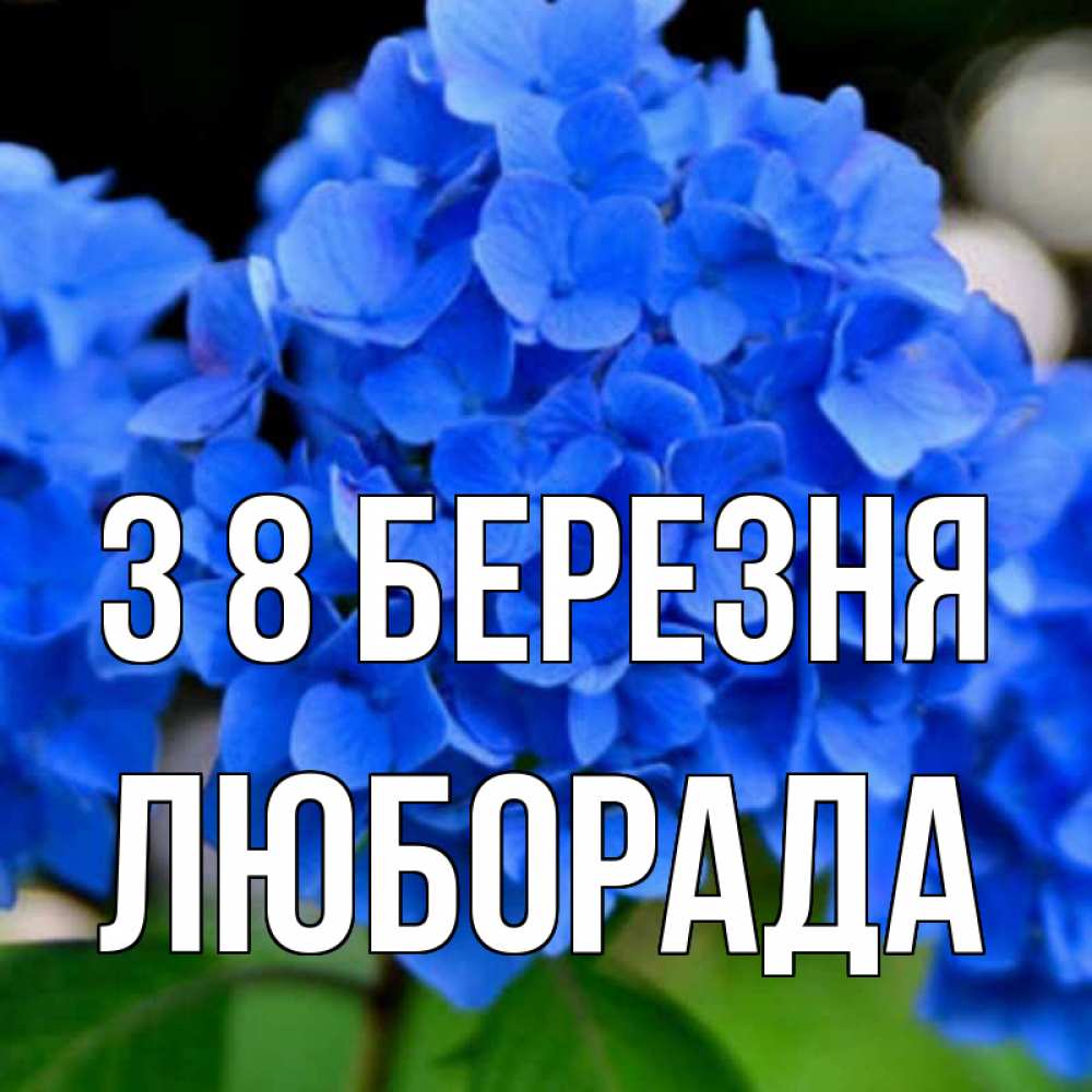 Открытка на каждый день з підписом, Люборада З 8 БЕРЕЗНЯ синие цветы Прикольна листівка з побажанням онлайн скачати безкоштовно 