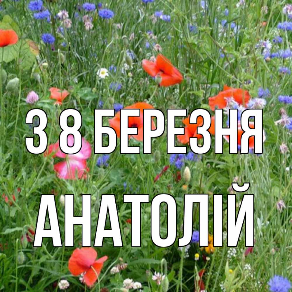 Открытка на каждый день з підписом, Анатолій З 8 БЕРЕЗНЯ международный женский день 4 Прикольна листівка з побажанням онлайн скачати безкоштовно 