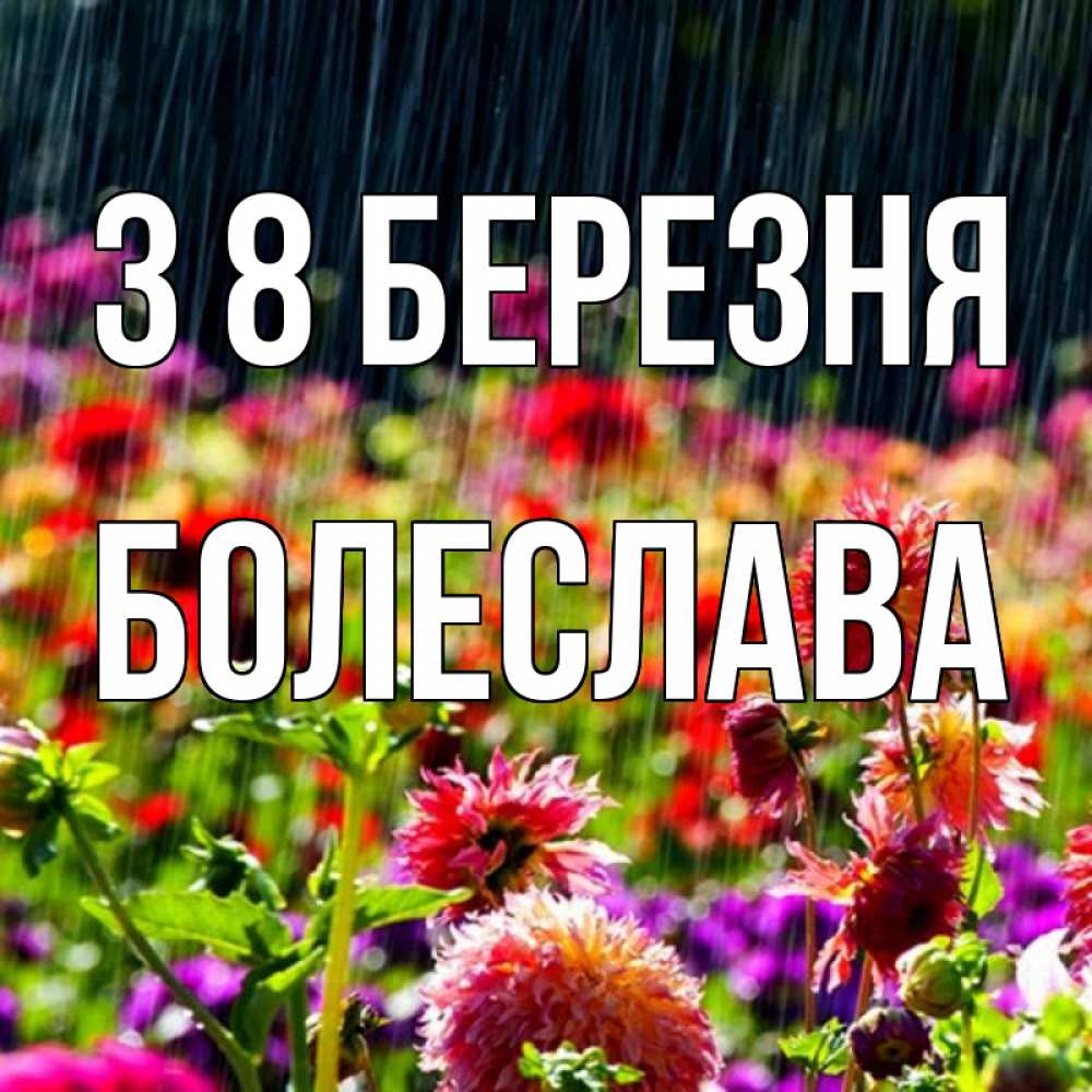 Открытка на каждый день з підписом, Болеслава З 8 БЕРЕЗНЯ цветы под дождиком к международному женскому дню Прикольна листівка з побажанням онлайн скачати безкоштовно 