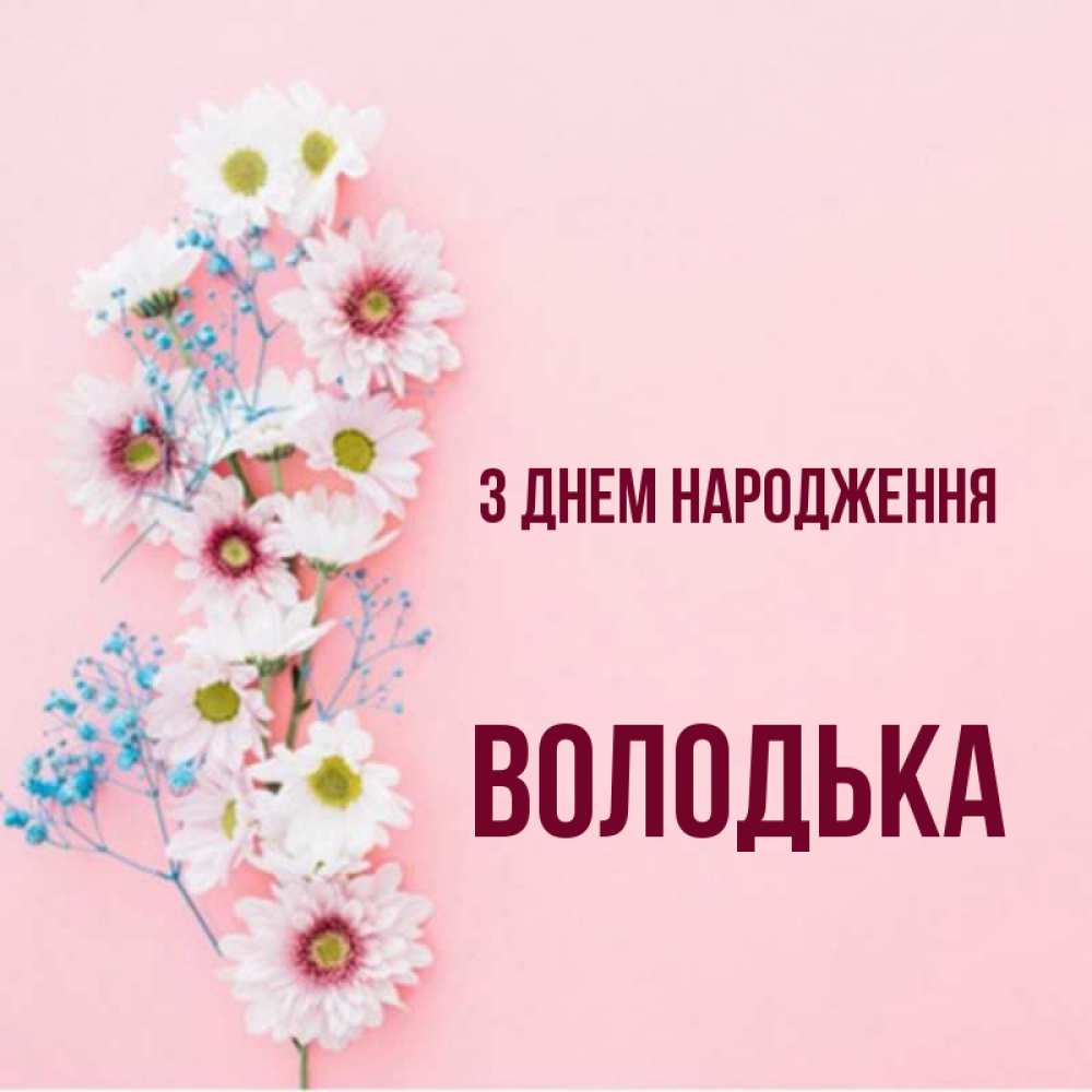 Открытка на каждый день з підписом, Володька З Днем народження Родная моя с днем рождения тебя картинка с цветами белыми и голубыми Прикольна листівка з побажанням онлайн скачати безкоштовно 