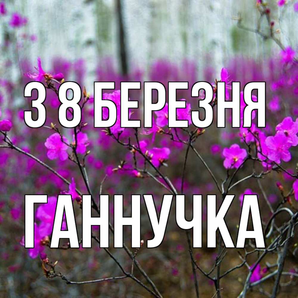 Открытка на каждый день з підписом, Ганнучка З 8 БЕРЕЗНЯ дикие цветы Прикольна листівка з побажанням онлайн скачати безкоштовно 