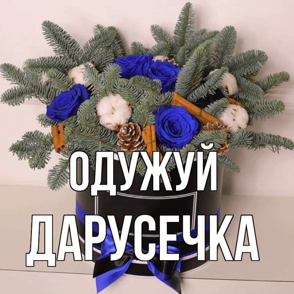 Открытка на каждый день з підписом, Дарусечка Одужуй короче кто то загрузил эти шишки Прикольна листівка з побажанням онлайн скачати безкоштовно 