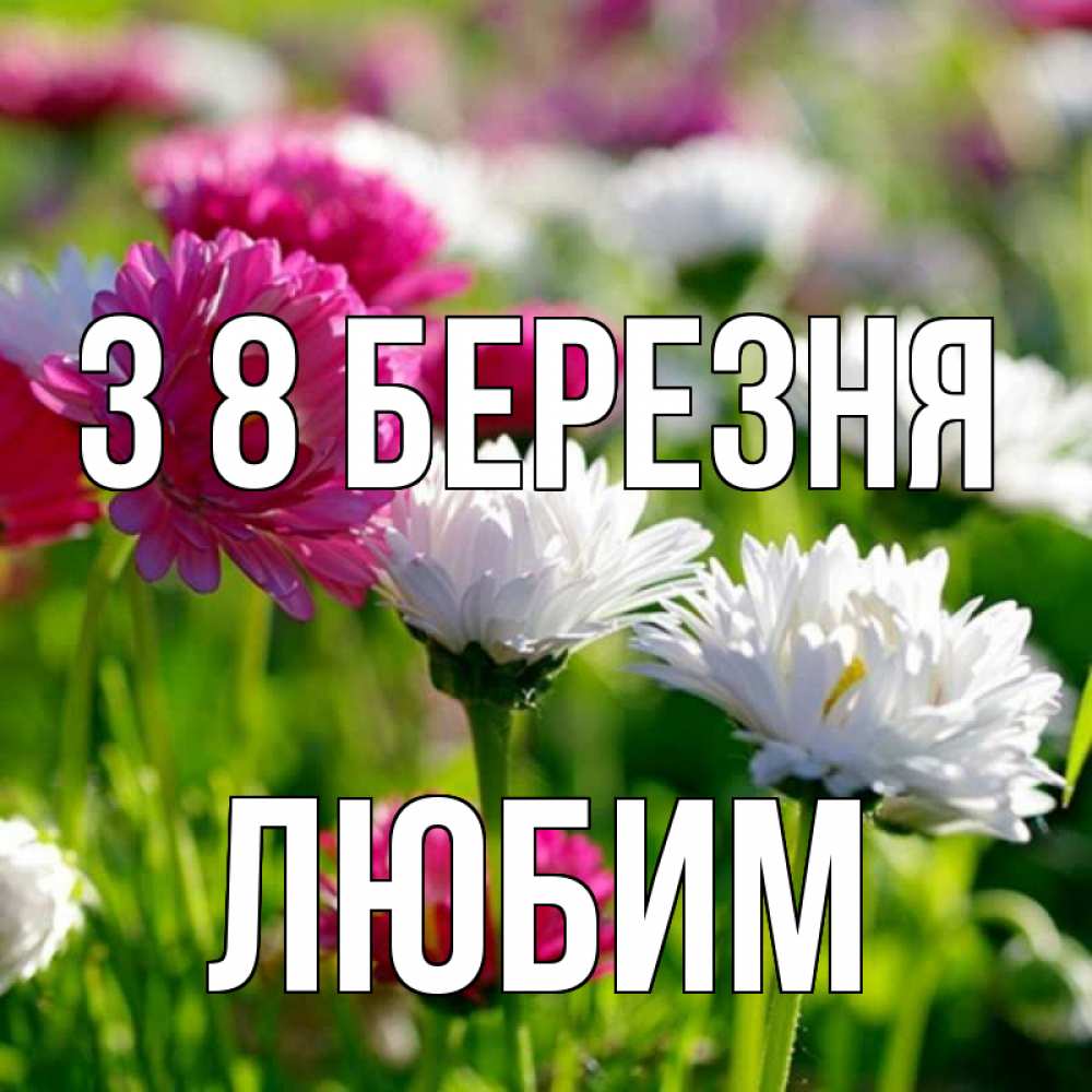 Открытка на каждый день з підписом, Любим З 8 БЕРЕЗНЯ международный женский день 1 Прикольна листівка з побажанням онлайн скачати безкоштовно 