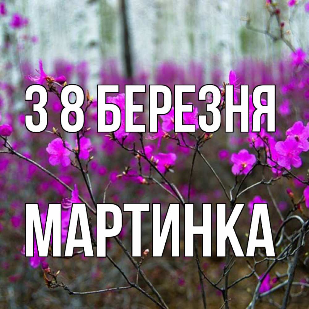 Открытка на каждый день з підписом, Мартинка З 8 БЕРЕЗНЯ дикие цветы Прикольна листівка з побажанням онлайн скачати безкоштовно 