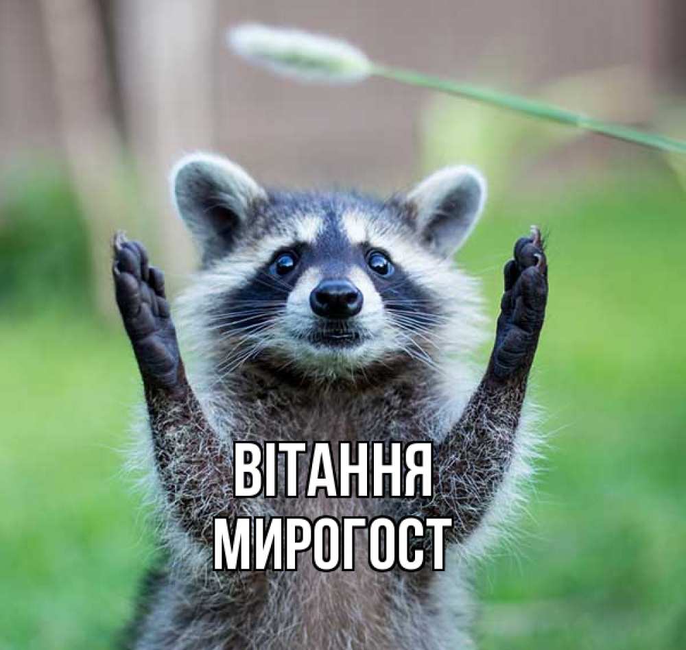 Открытка на каждый день з підписом, Мирогост Вітання животные Прикольна листівка з побажанням онлайн скачати безкоштовно 