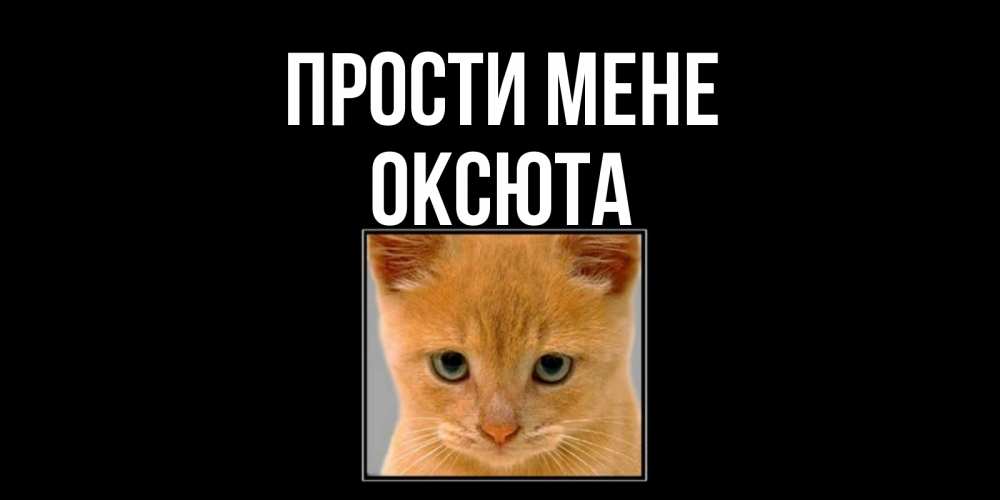 Открытка на каждый день з підписом, Оксюта Прости мене рыжий грустный кот просит прощения Прикольна листівка з побажанням онлайн скачати безкоштовно 