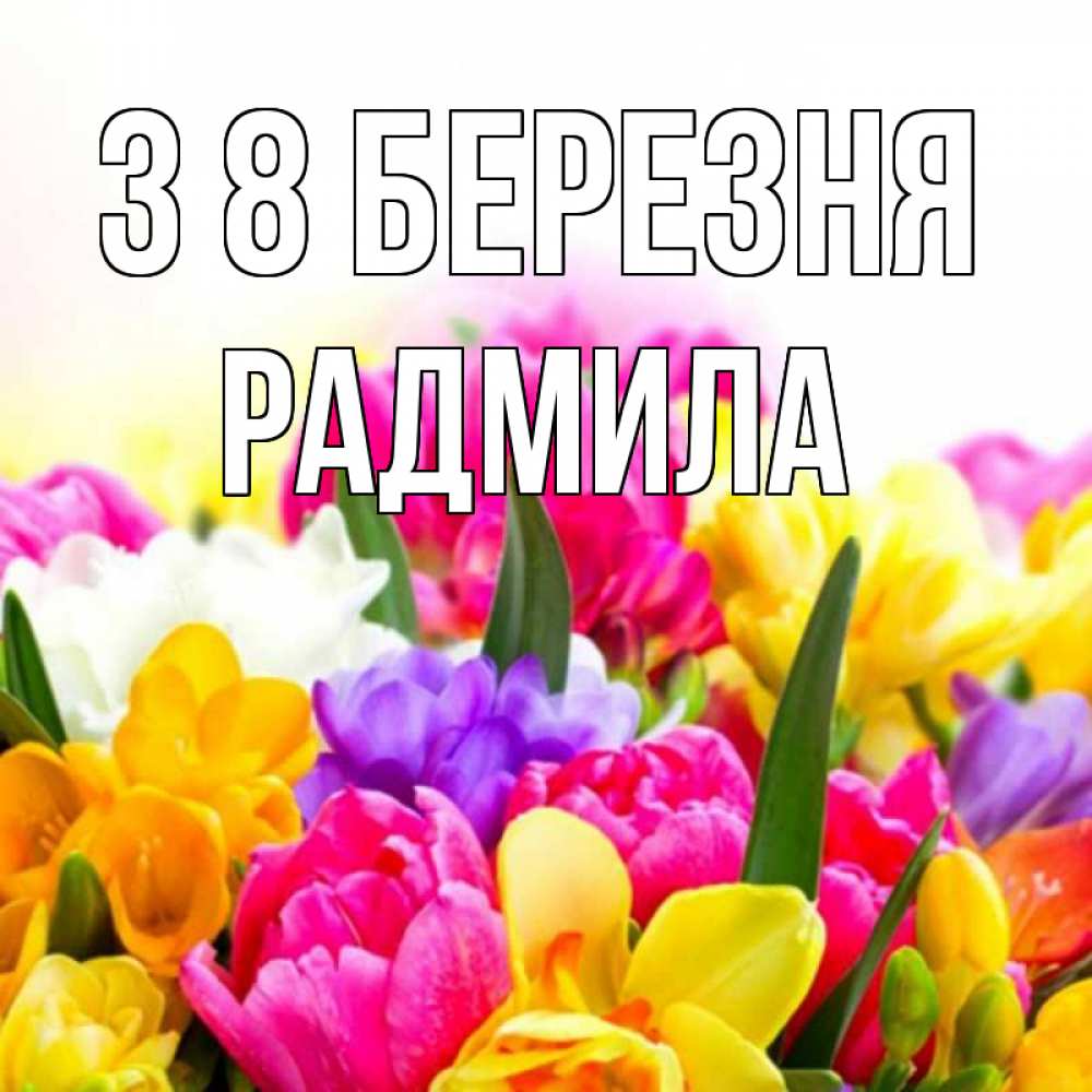 Открытка на каждый день з підписом, Радмила З 8 БЕРЕЗНЯ тюльпаны Прикольна листівка з побажанням онлайн скачати безкоштовно 