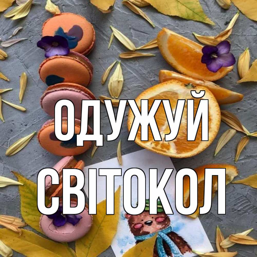 Открытка на каждый день з підписом, Світокол Одужуй не болейте Прикольна листівка з побажанням онлайн скачати безкоштовно 
