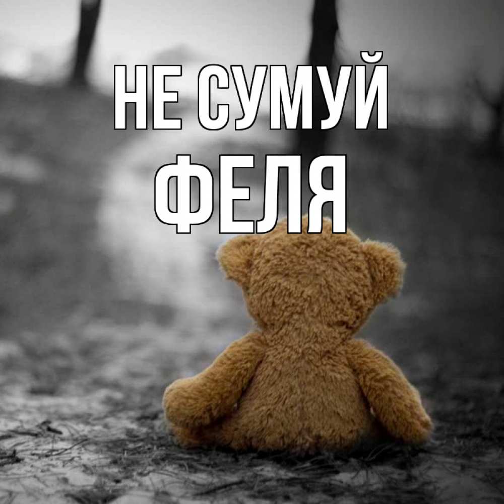 Открытка на каждый день з підписом, Феля Не сумуй медведь со спин Прикольна листівка з побажанням онлайн скачати безкоштовно 