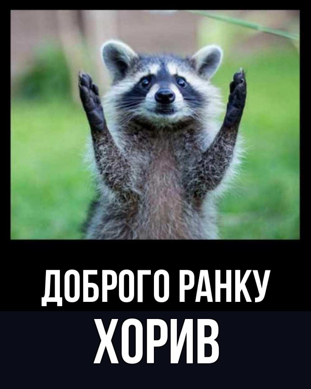 Открытка на каждый день з підписом, Хорив Доброго ранку хорошее настроение утречком Прикольна листівка з побажанням онлайн скачати безкоштовно 