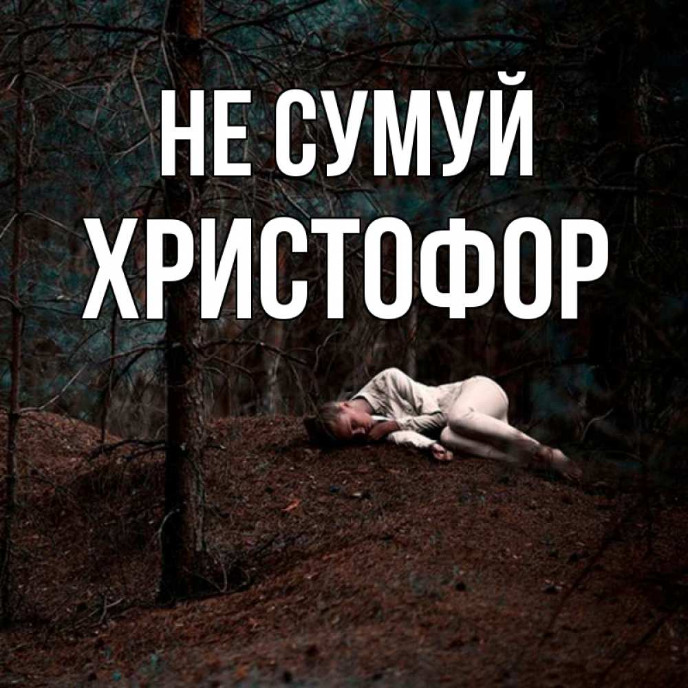 Открытка на каждый день з підписом, Христофор Не сумуй лес Прикольна листівка з побажанням онлайн скачати безкоштовно 