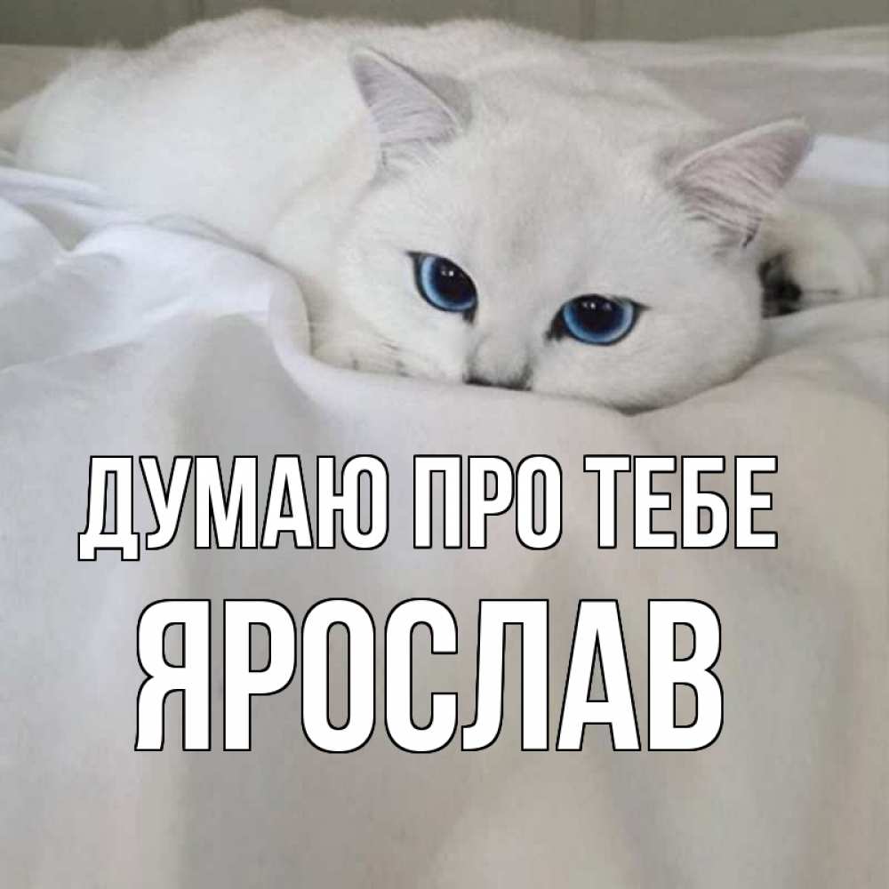 Открытка на каждый день з підписом, Ярослав Думаю про тебе я очень по тебе скучаю и тоскую Прикольна листівка з побажанням онлайн скачати безкоштовно 