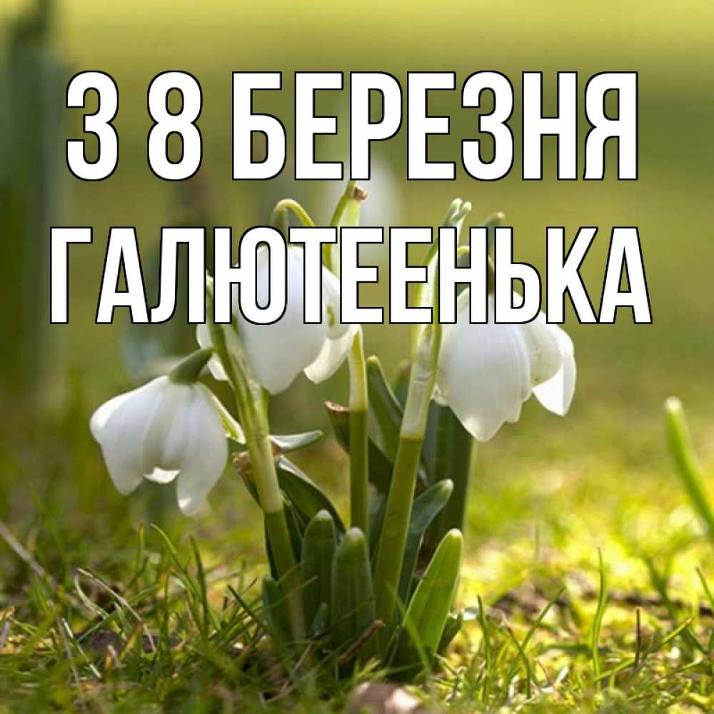 Открытка на каждый день з підписом, Галютеенька З 8 БЕРЕЗНЯ ранние цветы 2 Прикольна листівка з побажанням онлайн скачати безкоштовно 