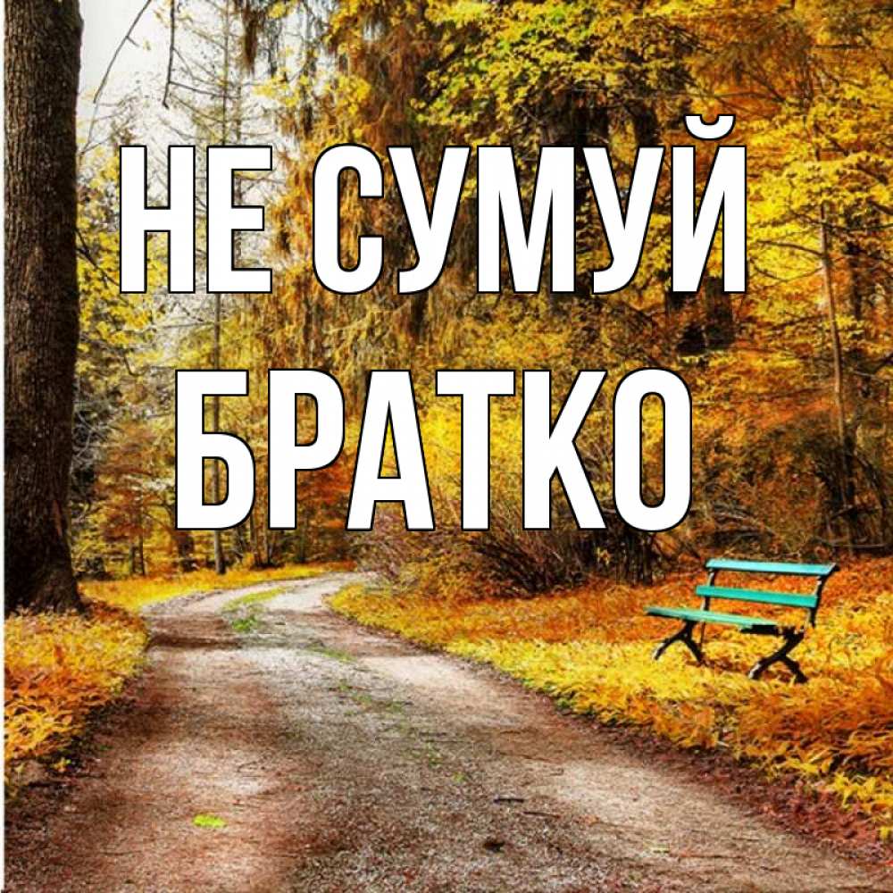 Открытка на каждый день з підписом, Братко Не сумуй зеленая лавочка Прикольна листівка з побажанням онлайн скачати безкоштовно 