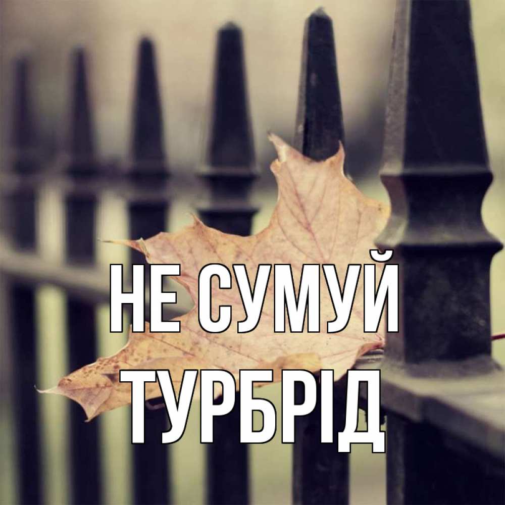 Открытка на каждый день з підписом, Турбрід Не сумуй лист клена Прикольна листівка з побажанням онлайн скачати безкоштовно 