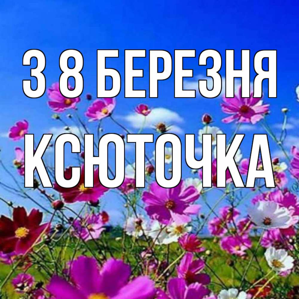 Открытка на каждый день з підписом, Ксюточка З 8 БЕРЕЗНЯ цветы Прикольна листівка з побажанням онлайн скачати безкоштовно 