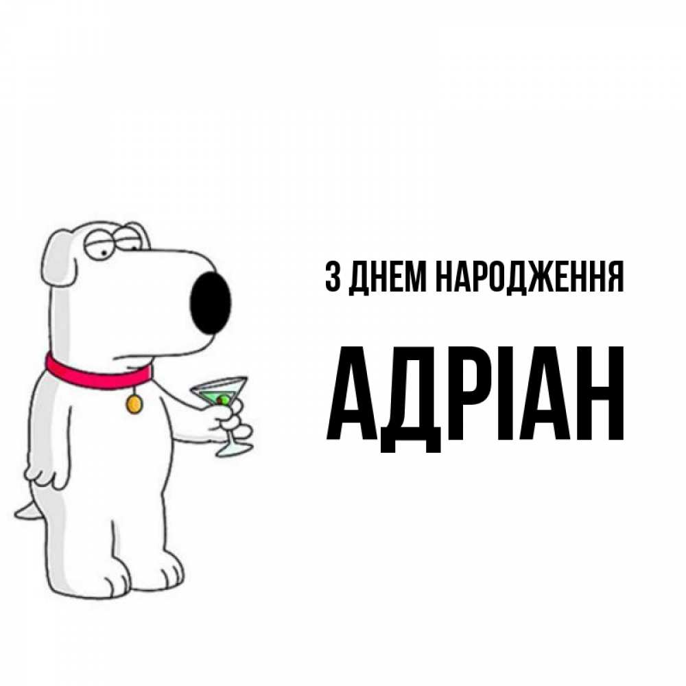 Открытка на каждый день з підписом, Адріан З Днем народження песик с оливками Прикольна листівка з побажанням онлайн скачати безкоштовно 