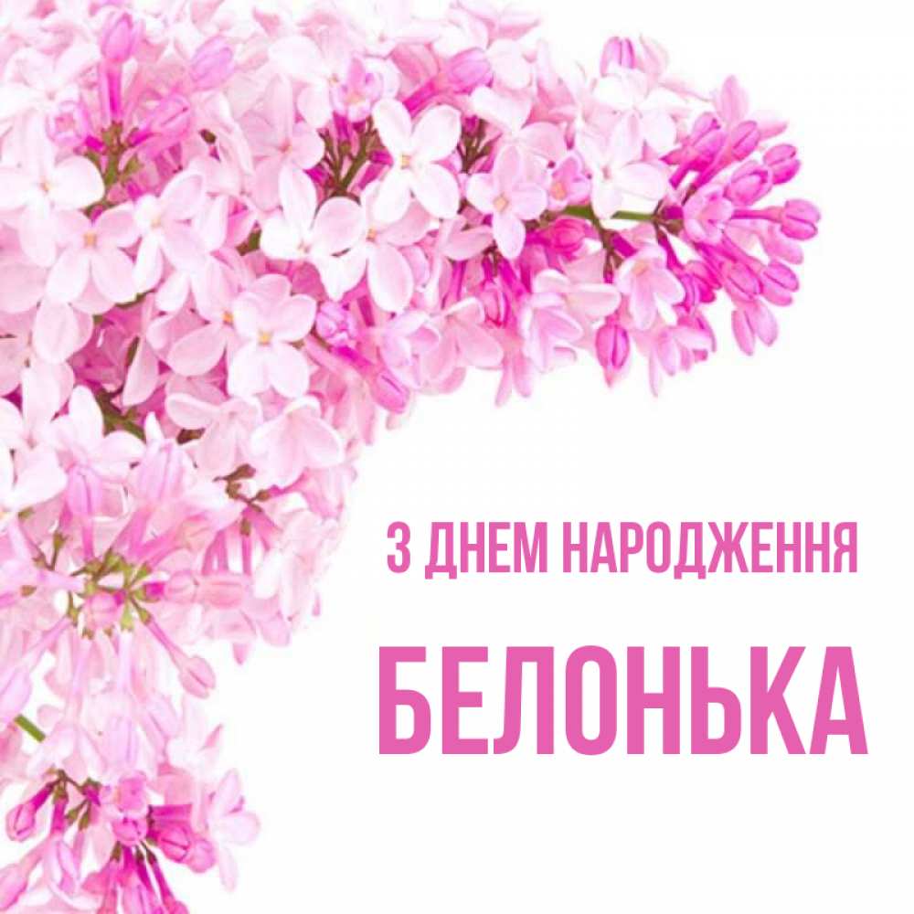 Открытка на каждый день з підписом, Белонька З Днем народження Сирень на белом фоне Прикольна листівка з побажанням онлайн скачати безкоштовно 