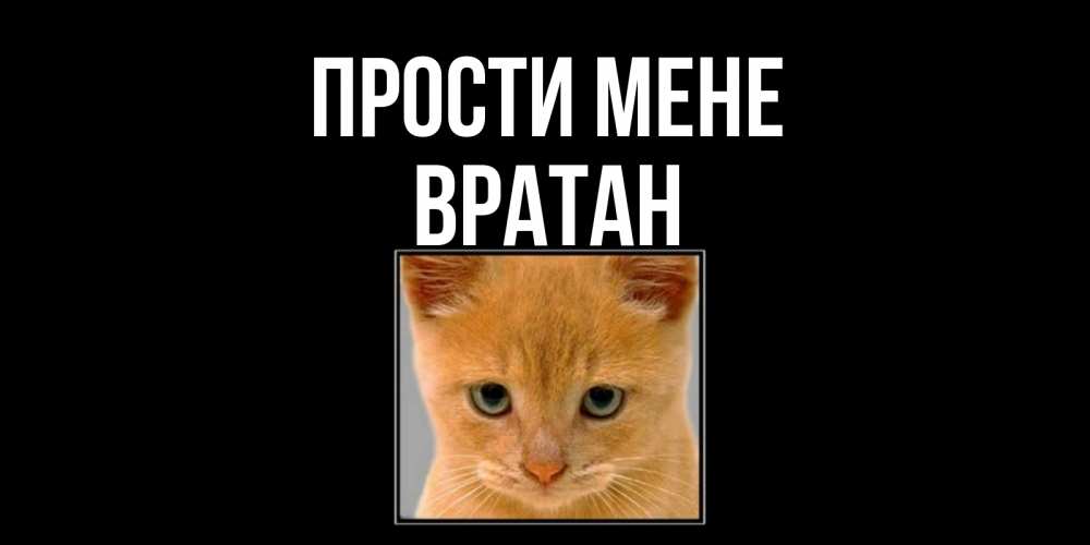 Открытка на каждый день з підписом, Вратан Прости мене рыжий грустный кот просит прощения Прикольна листівка з побажанням онлайн скачати безкоштовно 
