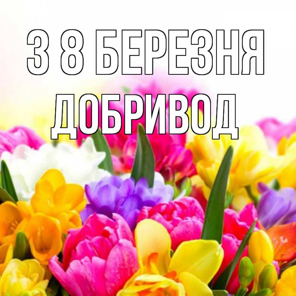Открытка на каждый день з підписом, Добривод З 8 БЕРЕЗНЯ тюльпаны Прикольна листівка з побажанням онлайн скачати безкоштовно 
