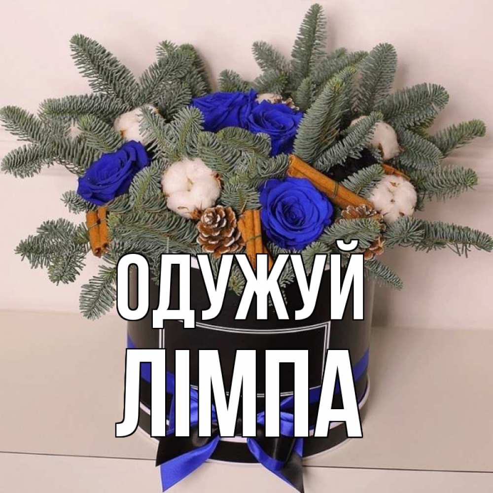 Открытка на каждый день з підписом, Лімпа Одужуй короче кто то загрузил эти шишки Прикольна листівка з побажанням онлайн скачати безкоштовно 