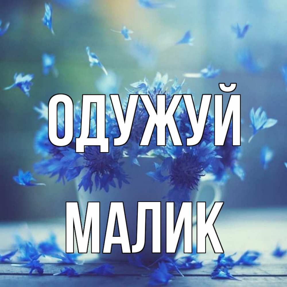 Открытка на каждый день з підписом, Малик Одужуй кружка с зельем и цветами Прикольна листівка з побажанням онлайн скачати безкоштовно 