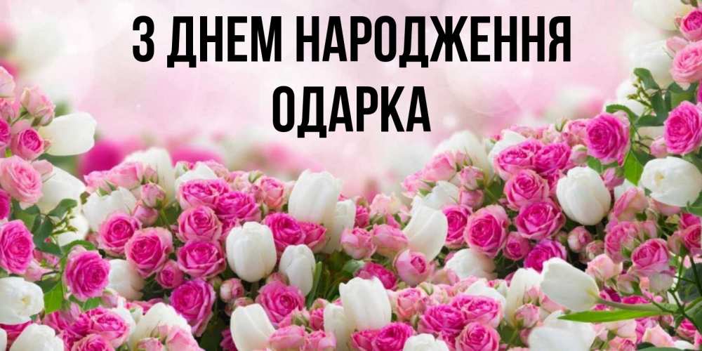 Открытка на каждый день з підписом, Одарка З Днем народження открытка с разными розами Прикольна листівка з побажанням онлайн скачати безкоштовно 