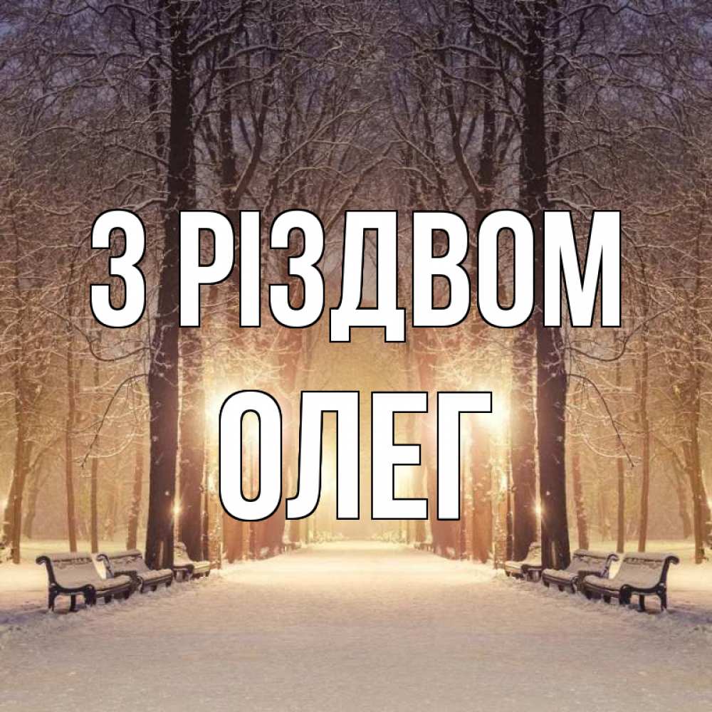 Открытка на каждый день з підписом, Олег З Різдвом зима, парк, фонарь, лес Прикольна листівка з побажанням онлайн скачати безкоштовно 
