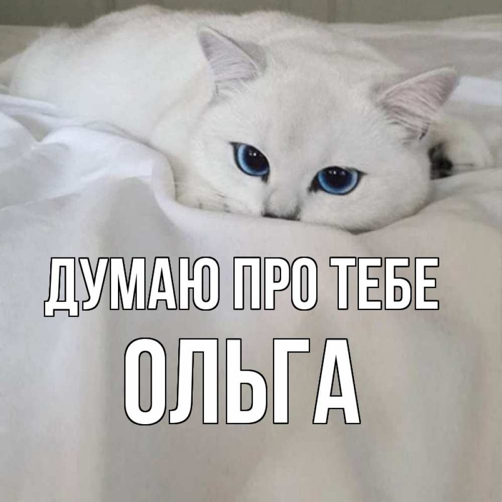 Открытка на каждый день з підписом, Ольга Думаю про тебе я очень по тебе скучаю и тоскую Прикольна листівка з побажанням онлайн скачати безкоштовно 