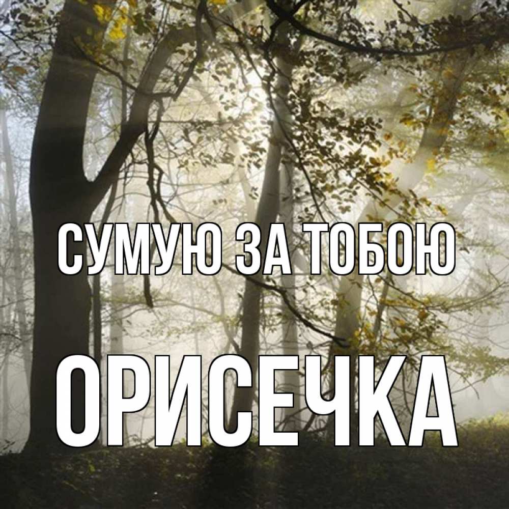 Открытка на каждый день з підписом, Орисечка Сумую за тобою грустно Прикольна листівка з побажанням онлайн скачати безкоштовно 