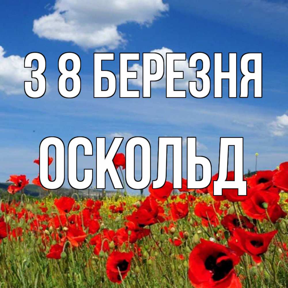 Открытка на каждый день з підписом, Оскольд З 8 БЕРЕЗНЯ международный женский день 1 Прикольна листівка з побажанням онлайн скачати безкоштовно 