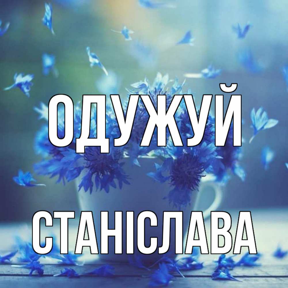 Открытка на каждый день з підписом, Станіслава Одужуй кружка с зельем и цветами Прикольна листівка з побажанням онлайн скачати безкоштовно 