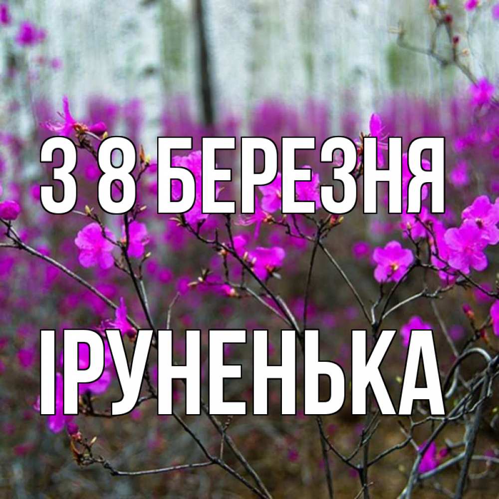 Открытка на каждый день з підписом, Іруненька З 8 БЕРЕЗНЯ дикие цветы Прикольна листівка з побажанням онлайн скачати безкоштовно 