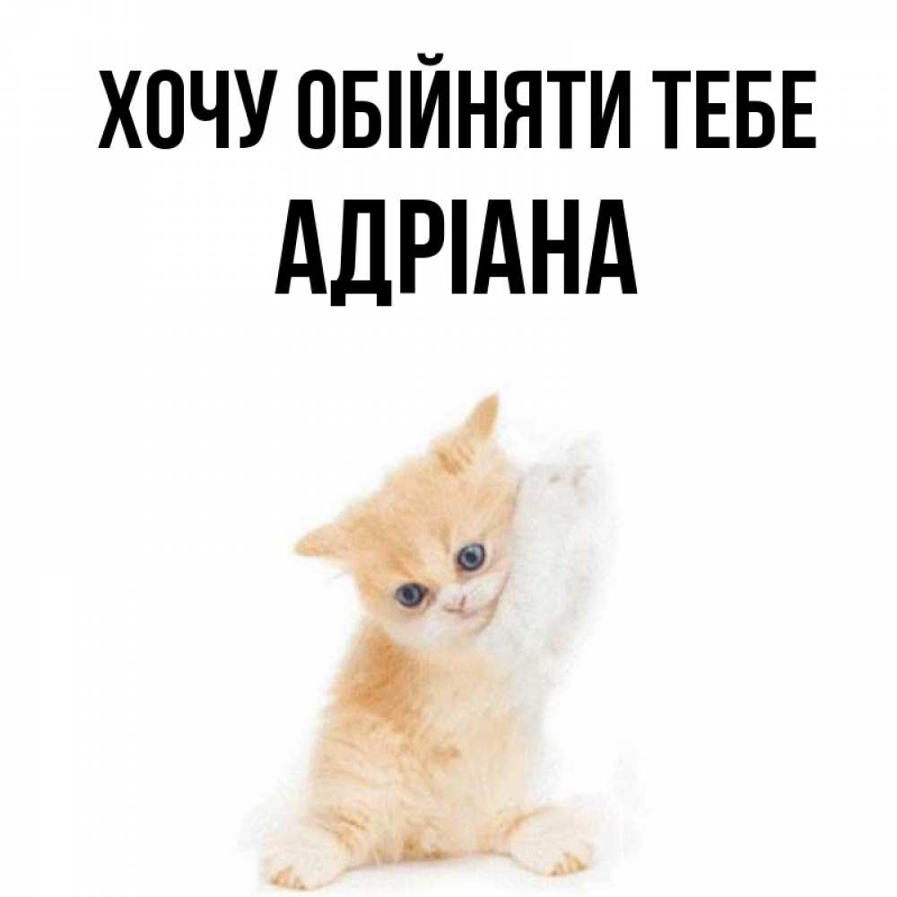 Открытка на каждый день з підписом, Адріана Хочу обійняти тебе я хочу очень скорее обнимаешек Прикольна листівка з побажанням онлайн скачати безкоштовно 