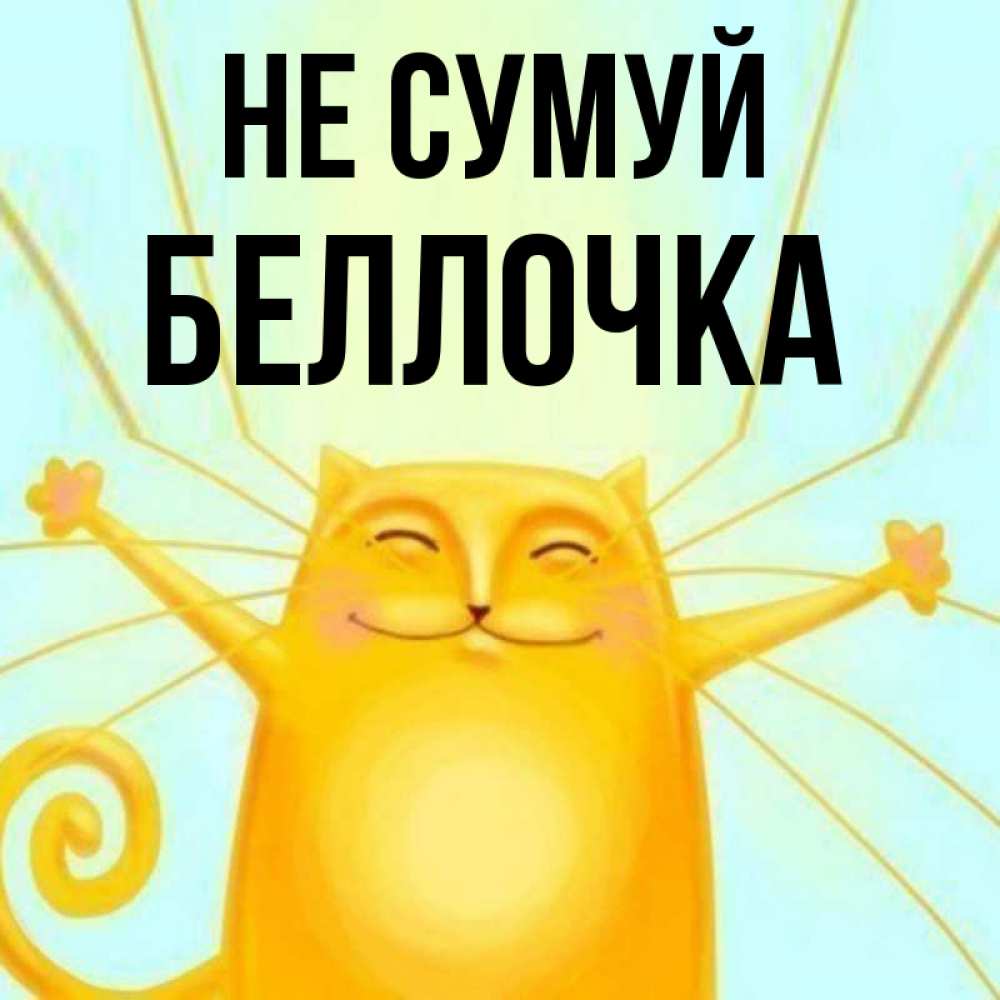 Открытка на каждый день з підписом, Беллочка Не сумуй обнимашки усатые Прикольна листівка з побажанням онлайн скачати безкоштовно 