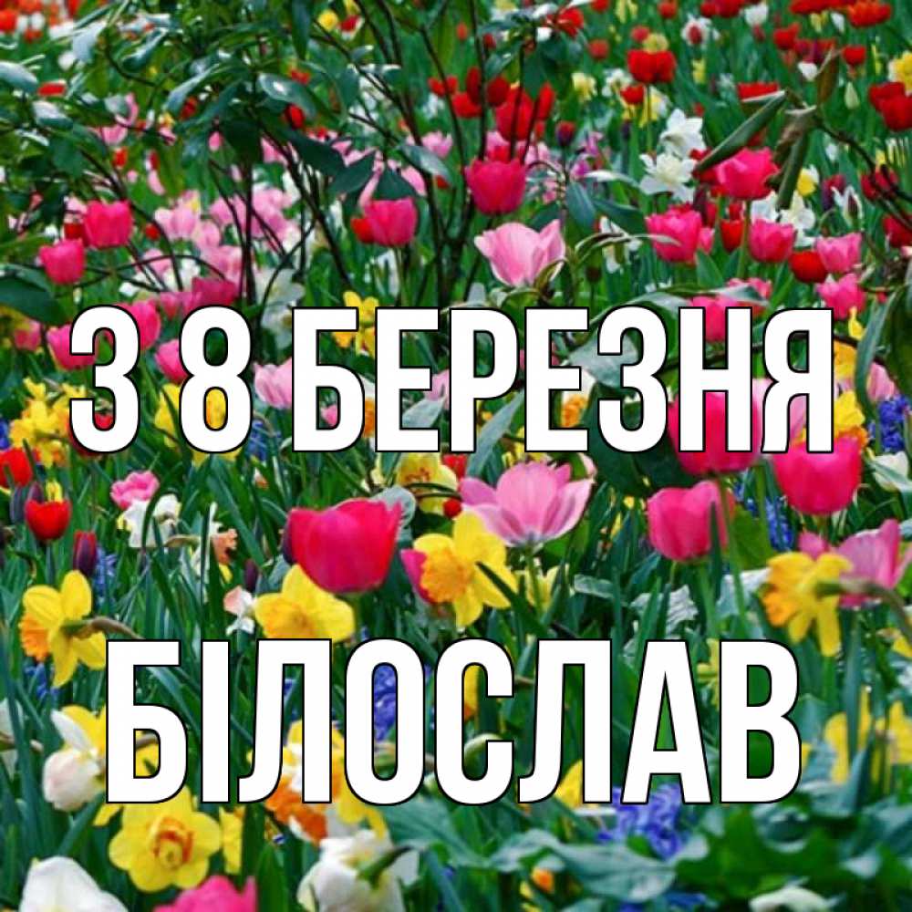 Открытка на каждый день з підписом, Білослав З 8 БЕРЕЗНЯ с международным женским днем поздравления для женщины Прикольна листівка з побажанням онлайн скачати безкоштовно 