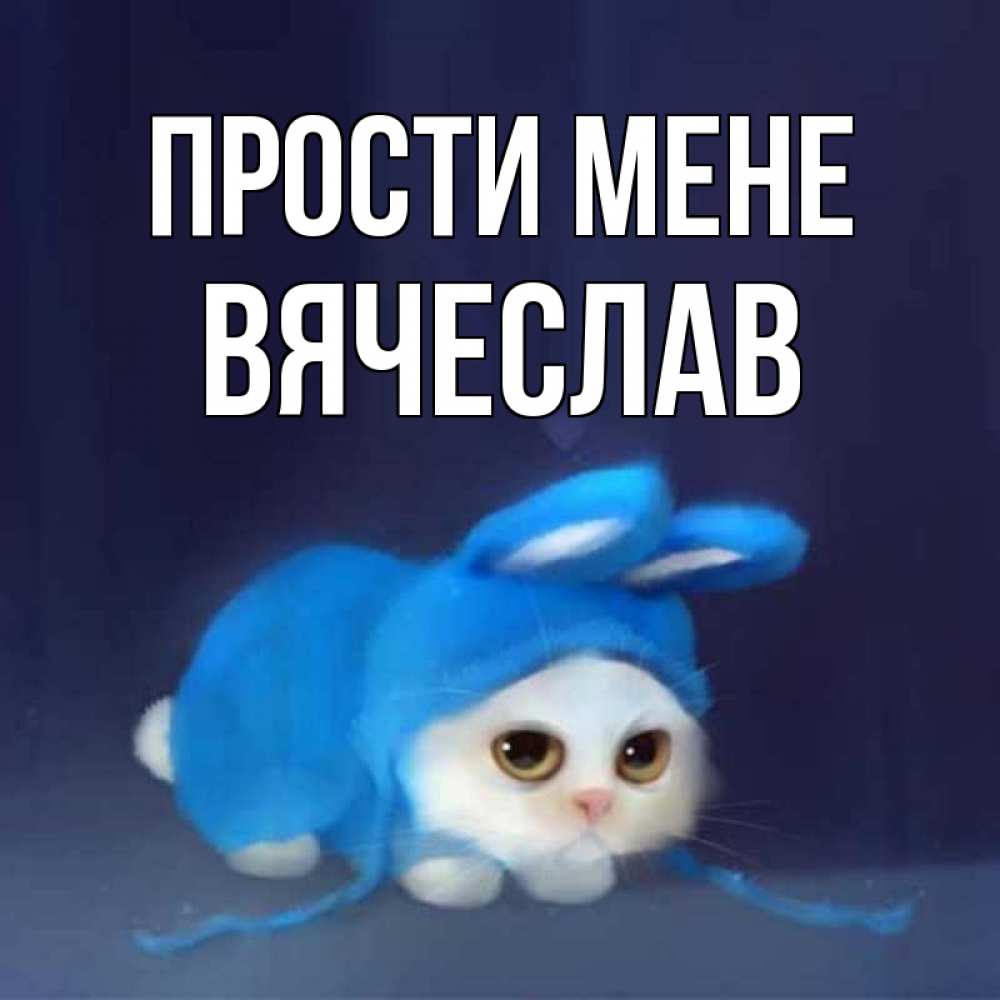 Открытка на каждый день з підписом, Вячеслав Прости мене невинный котозай просит прощения Прикольна листівка з побажанням онлайн скачати безкоштовно 