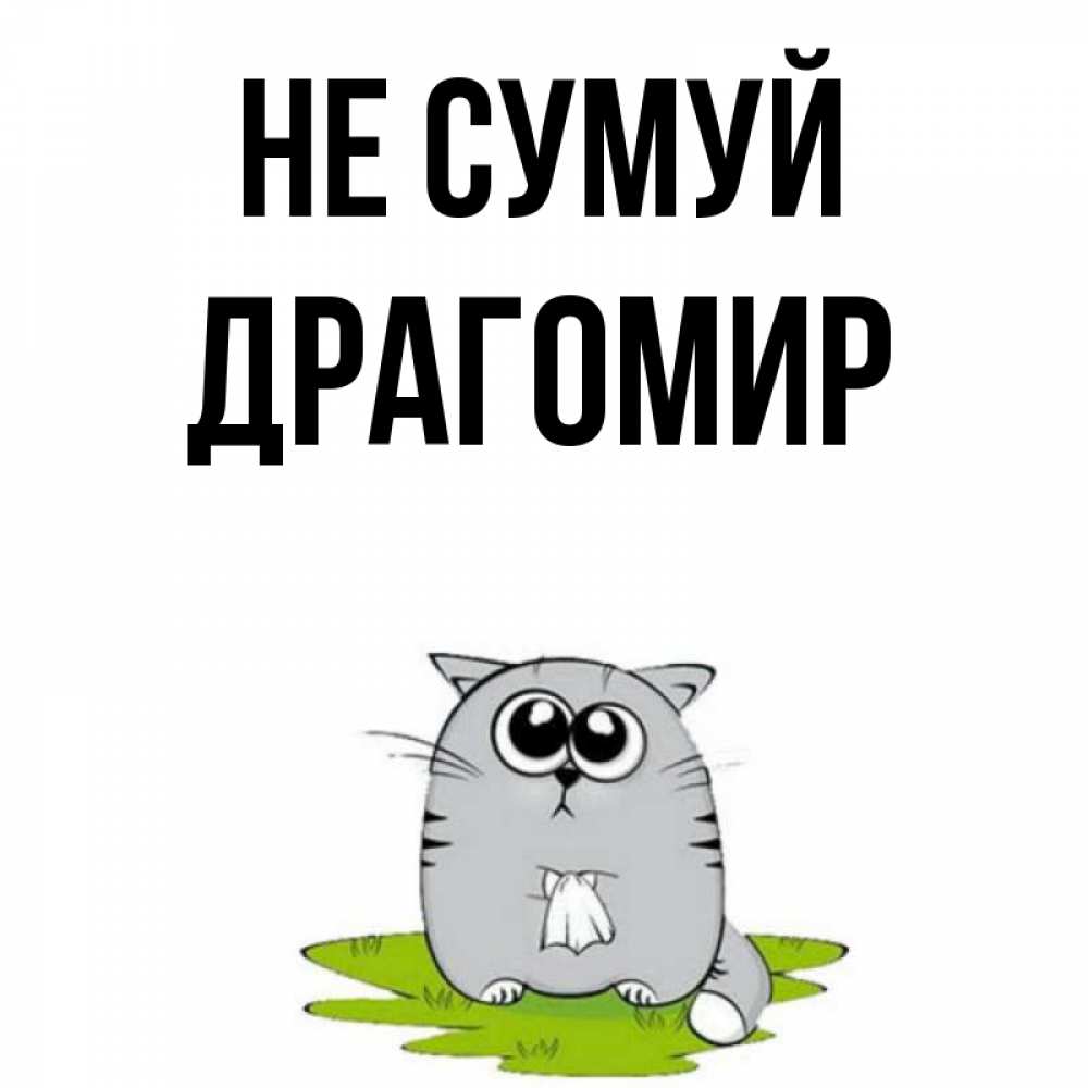 Открытка на каждый день з підписом, Драгомир Не сумуй грустный котяра Прикольна листівка з побажанням онлайн скачати безкоштовно 