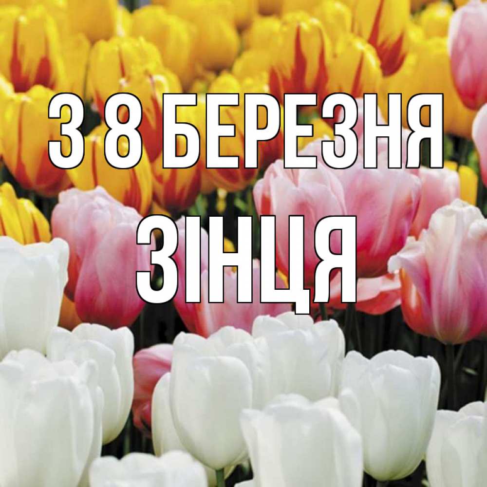 Открытка на каждый день з підписом, Зінця З 8 БЕРЕЗНЯ разноцветные цветы Прикольна листівка з побажанням онлайн скачати безкоштовно 