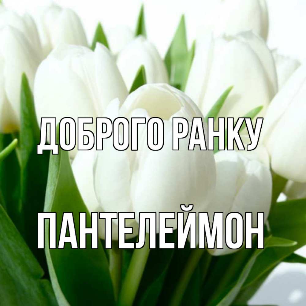 Открытка на каждый день з підписом, Пантелеймон Доброго ранку открытки на каждый день по именам Прикольна листівка з побажанням онлайн скачати безкоштовно 