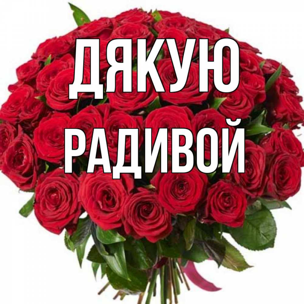 Открытка на каждый день з підписом, Радивой Дякую букет красных роз Прикольна листівка з побажанням онлайн скачати безкоштовно 
