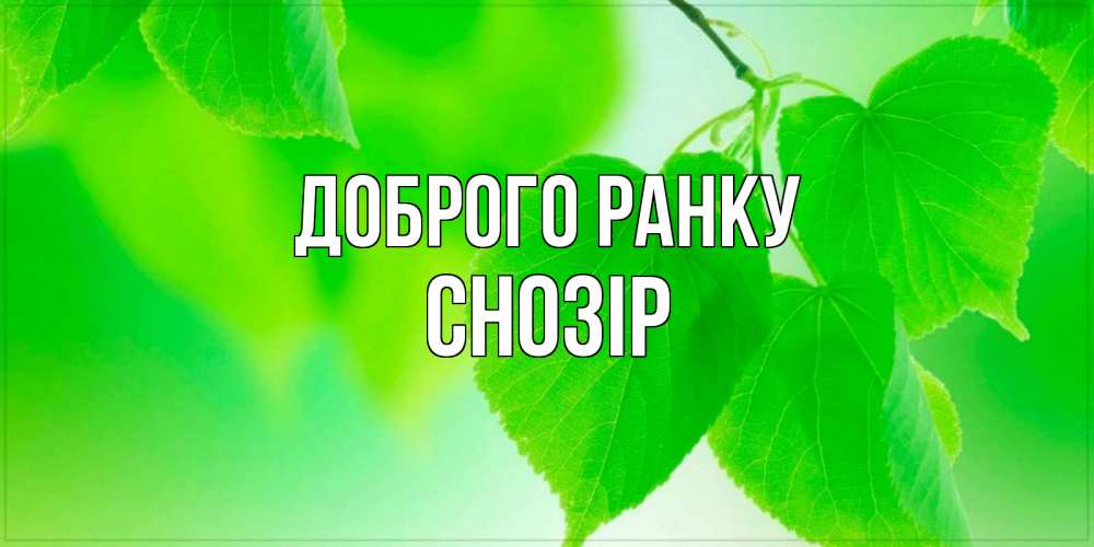 Открытка на каждый день з підписом, Снозір Доброго ранку доброе утро с березовыми листьями Прикольна листівка з побажанням онлайн скачати безкоштовно 