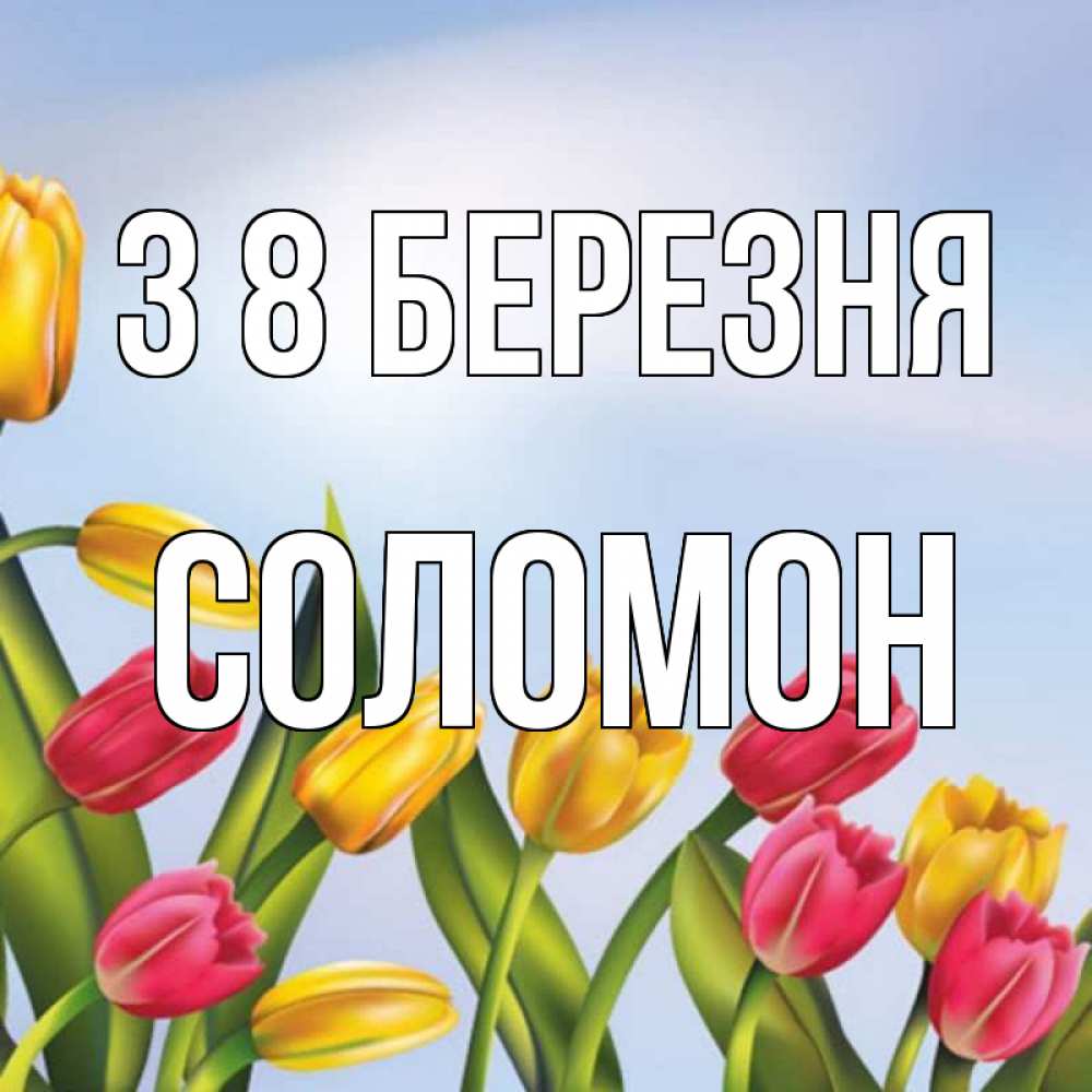 Открытка на каждый день з підписом, Соломон З 8 БЕРЕЗНЯ международный женский день Прикольна листівка з побажанням онлайн скачати безкоштовно 