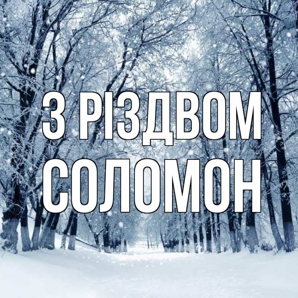 Открытка на каждый день з підписом, Соломон З Різдвом снег, лес, парк Прикольна листівка з побажанням онлайн скачати безкоштовно 