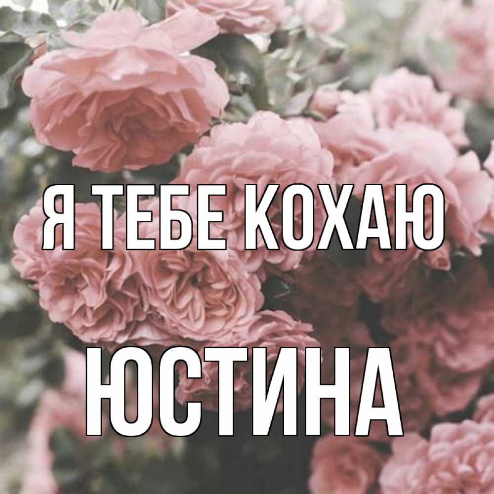 Открытка на каждый день з підписом, Юстина Я тебе кохаю розы 3 Прикольна листівка з побажанням онлайн скачати безкоштовно 