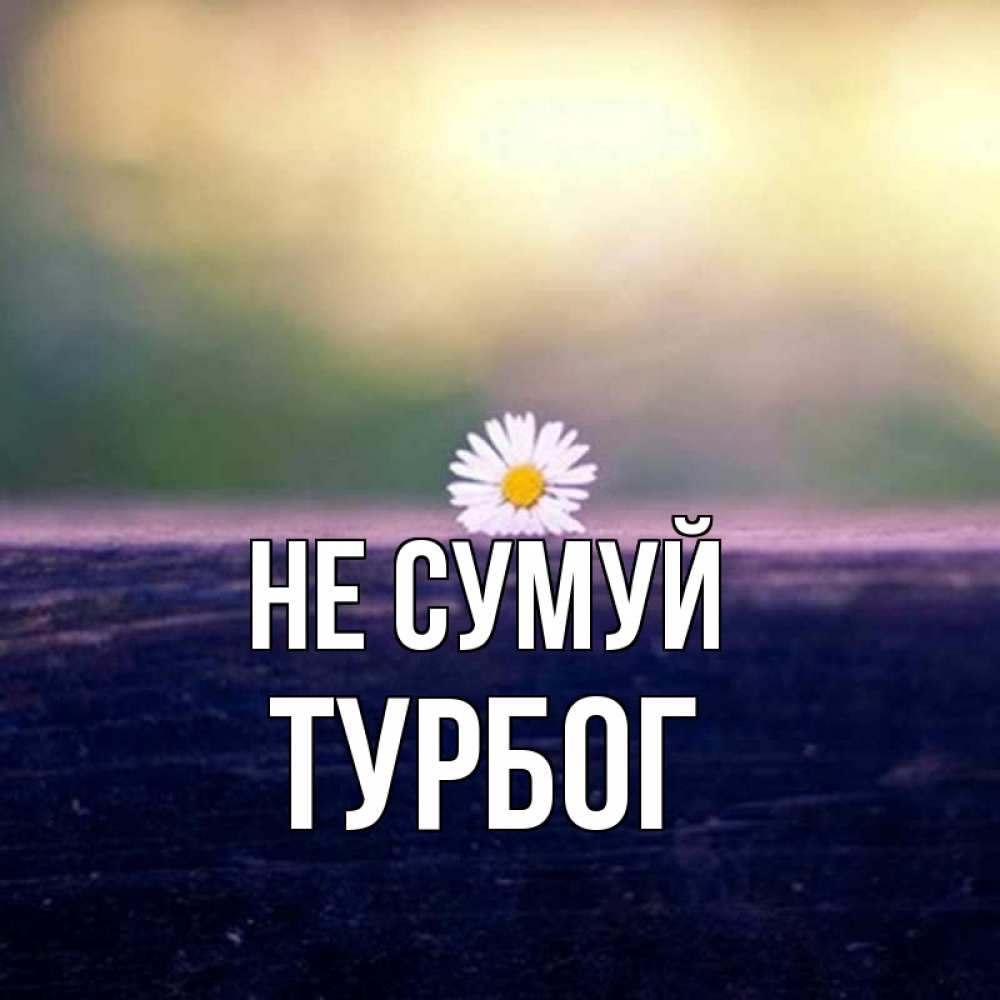Открытка на каждый день з підписом, Турбог Не сумуй красота Прикольна листівка з побажанням онлайн скачати безкоштовно 