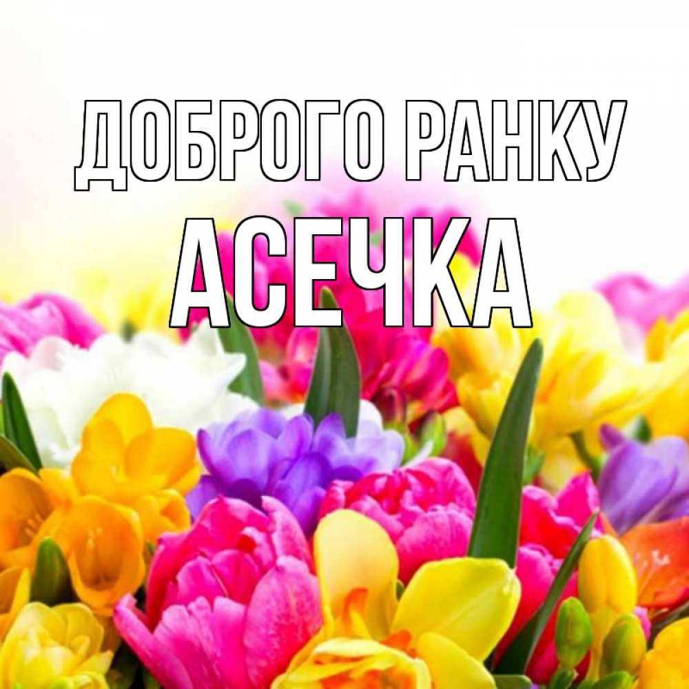 Открытка на каждый день з підписом, Асечка Доброго ранку создать открытку со свое подписью Прикольна листівка з побажанням онлайн скачати безкоштовно 