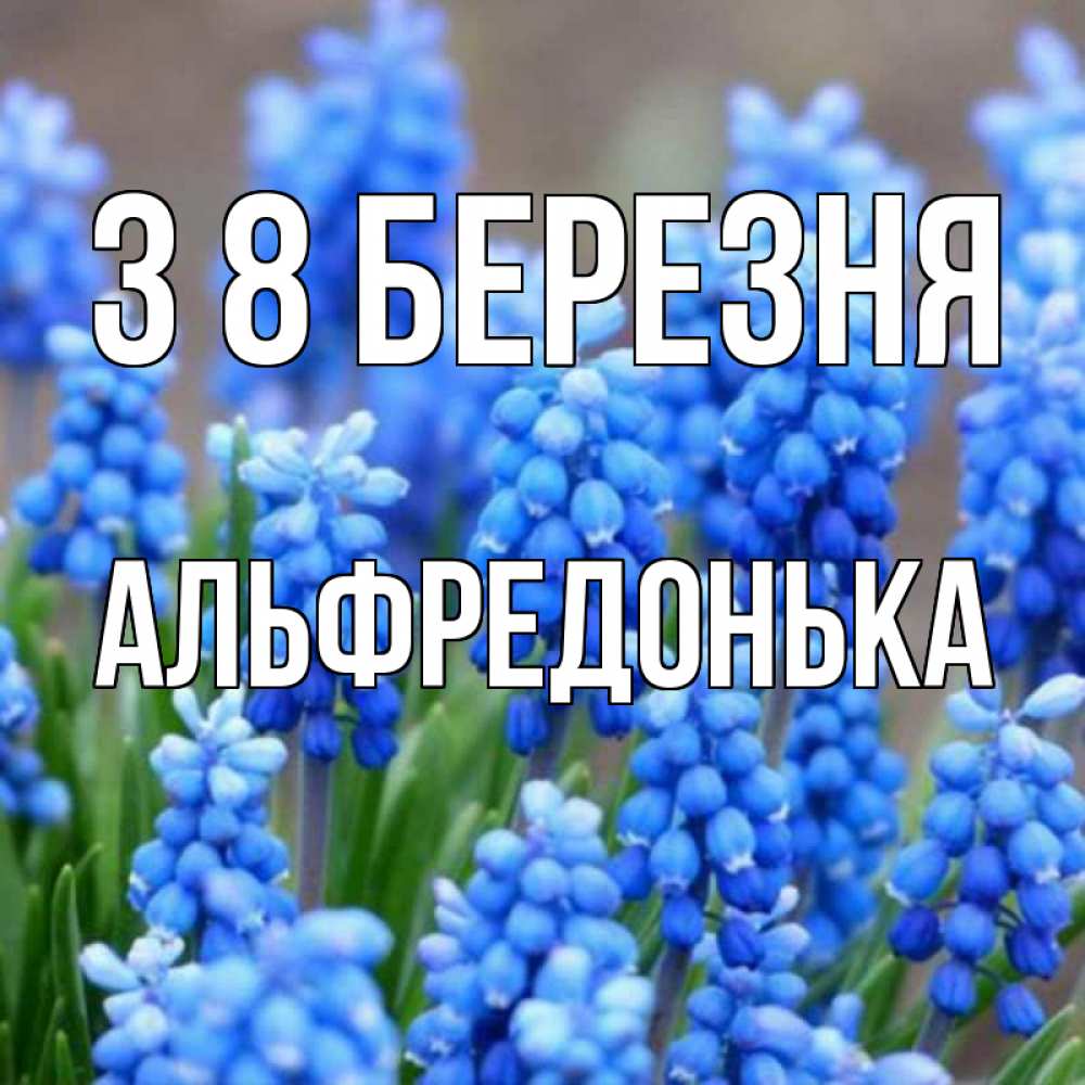 Открытка на каждый день з підписом, Альфредонька З 8 БЕРЕЗНЯ Поздравительная открытка для женщин с цветами на праздничную дату Прикольна листівка з побажанням онлайн скачати безкоштовно 