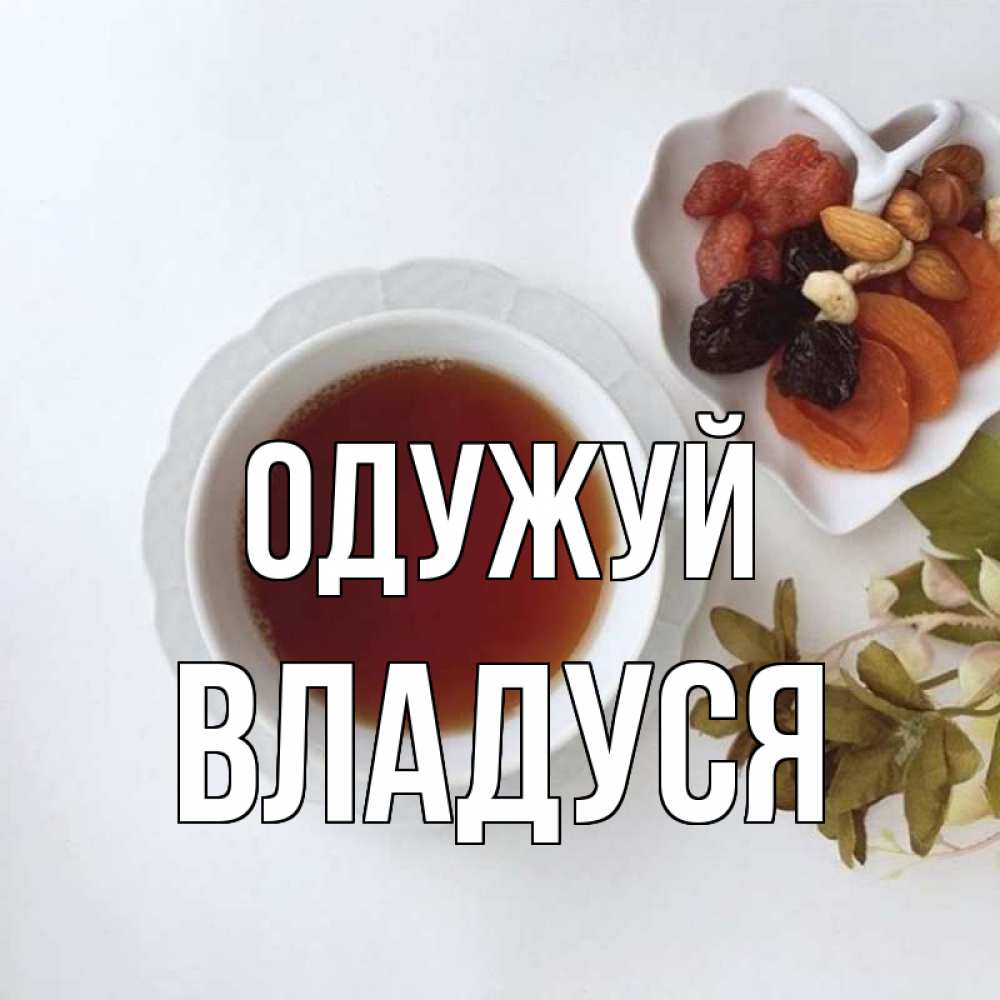 Открытка на каждый день з підписом, Владуся Одужуй неизвестные растения Прикольна листівка з побажанням онлайн скачати безкоштовно 