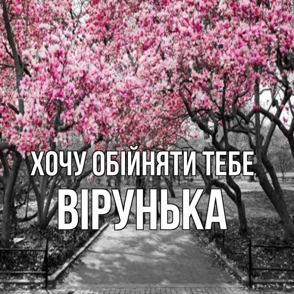 Открытка на каждый день з підписом, Вірунька Хочу обійняти тебе обработанное фото Прикольна листівка з побажанням онлайн скачати безкоштовно 